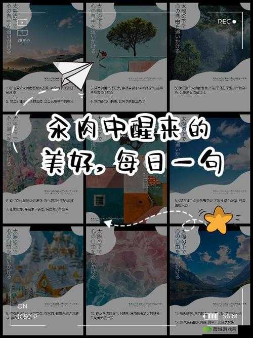 每天在汆肉中醒来:探寻独特的美食体验
