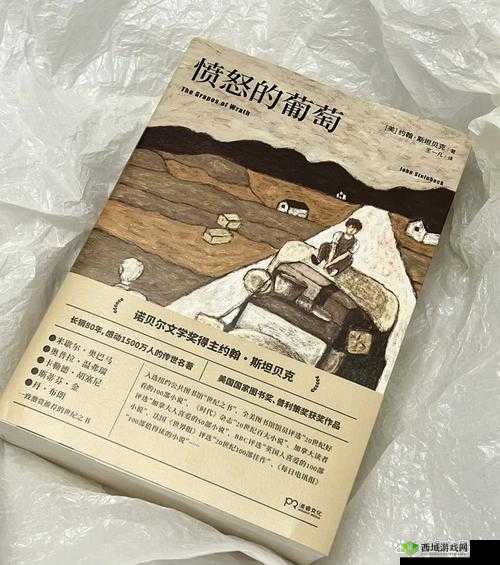 《重关卡:文字之花中的极致思考》