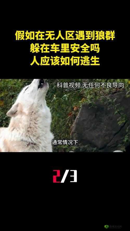 未成年是否可以在无人区开车?
