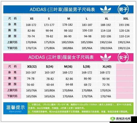 三叶草 M 码和欧洲码的区别：尺码奥秘解析