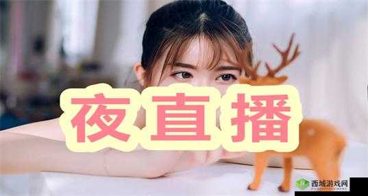 夜月直播视频直播免费观看:精彩内容不断