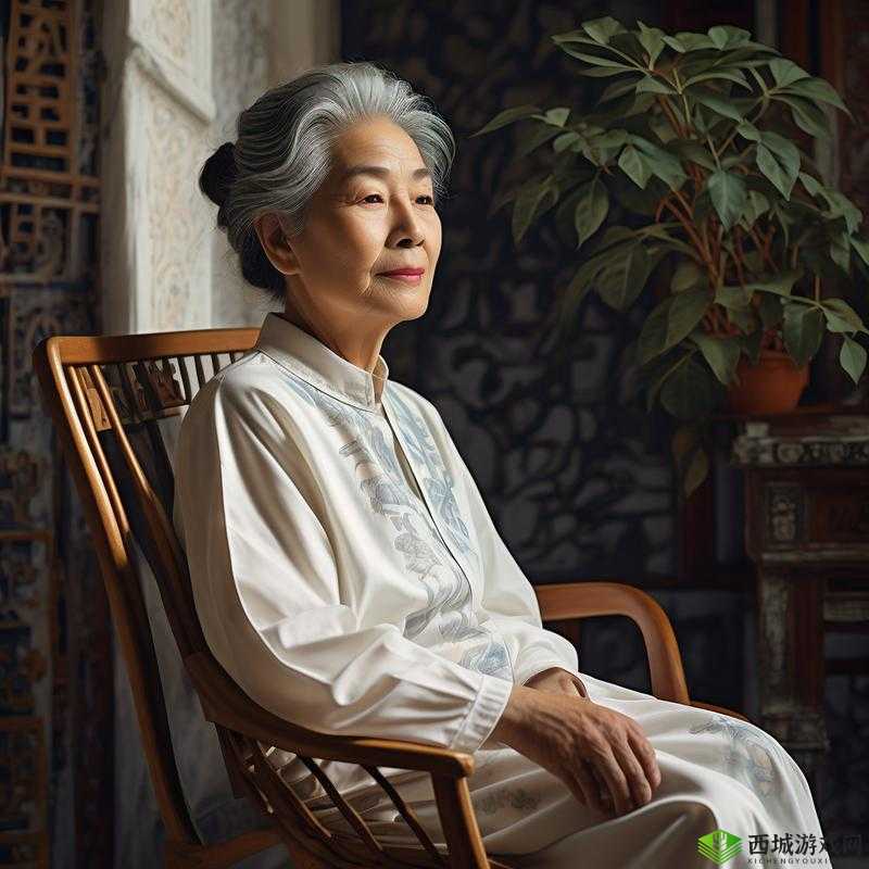 几个老婆婆的 BGM 视频：岁月的旋律