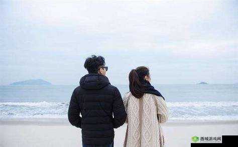 JAVAPARSERHD 夫妻：携手共赴美好未来