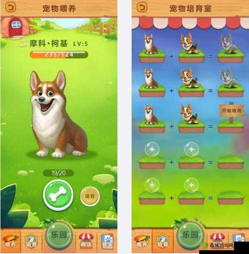 新手必知:天天酷跑3D宠物获取与养成升级攻略大全