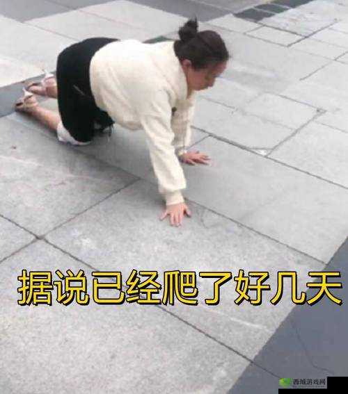 m 像狗一下爬行:奇特行为引关注