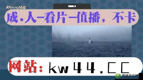 搞机TIME 恶心直接打开网页不要钱：揭露真相