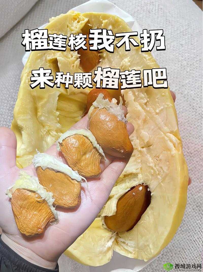 榴莲app 推广链接：快来体验榴莲的独特魅力
