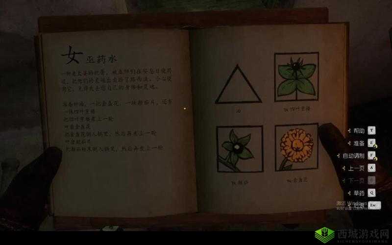 天国女巫药剂的炼金术攻略:制作方法与技巧详解