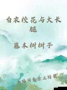 白衣校花与大长腿小说：一段充满浪漫与传奇的青春故事