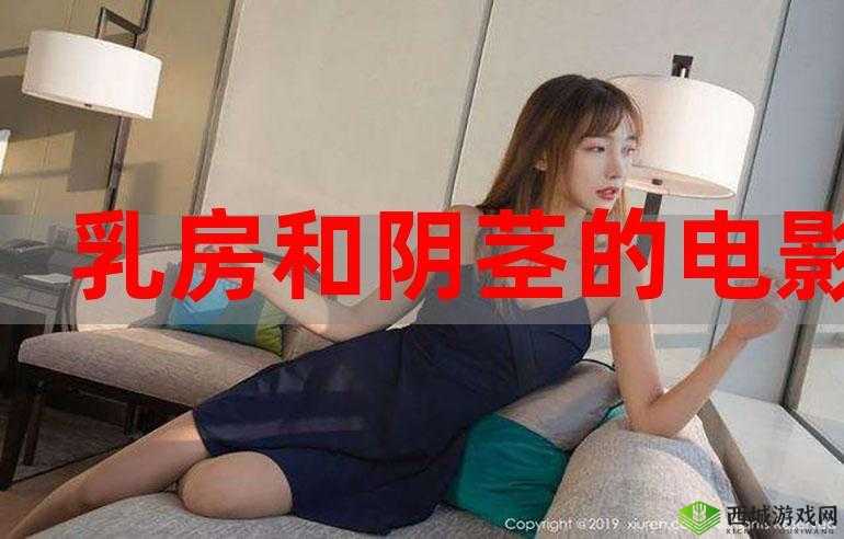av 电影在线观看:成人影片的私密世界