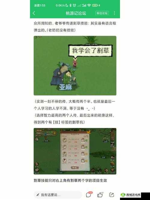 桃源记新手飞跃指南，解锁快速发展秘籍
