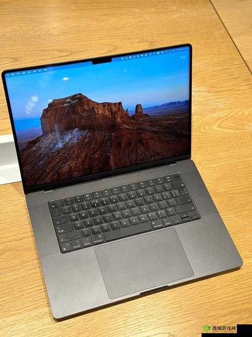 18 岁的 MacBook Pro：青春与科技的完美融合
