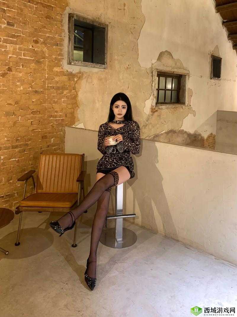 少妇的婬乱 HDXXXXX:迷失在欲望的深渊