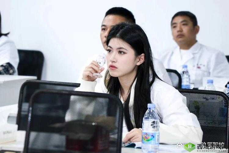 黄色 B 片:探索其独特魅力与内涵