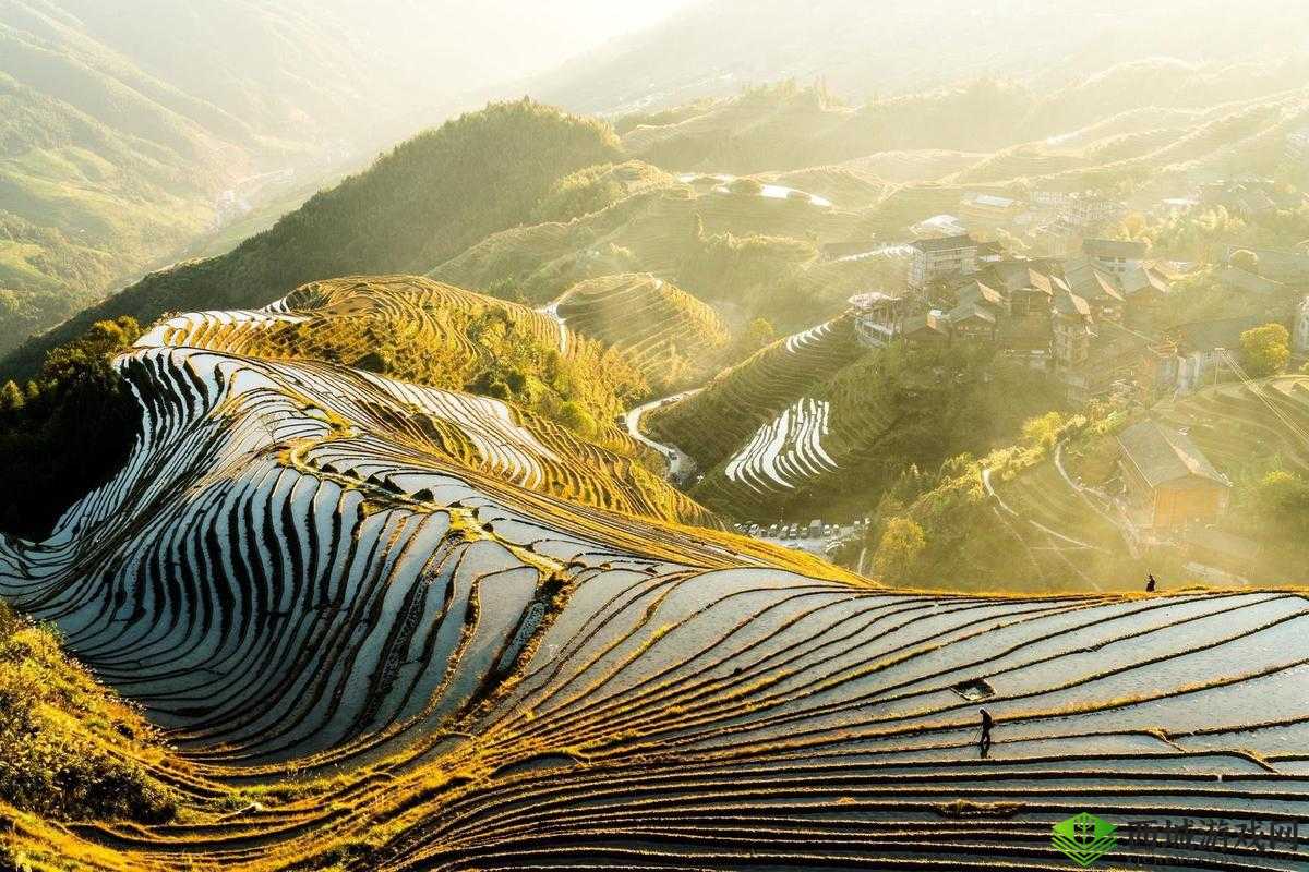 抖阴旅行射张家界董小宛在线播放:独特之旅的别样呈现