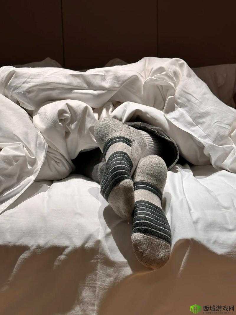 我是 1 但我的室友全是体育生:别样的寝室生活