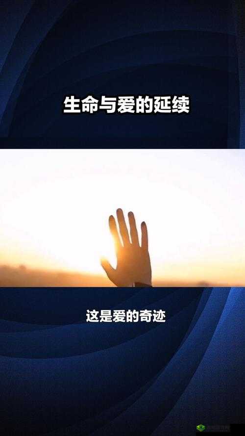 九一爱爱:爱的力量,超越时空的奇迹