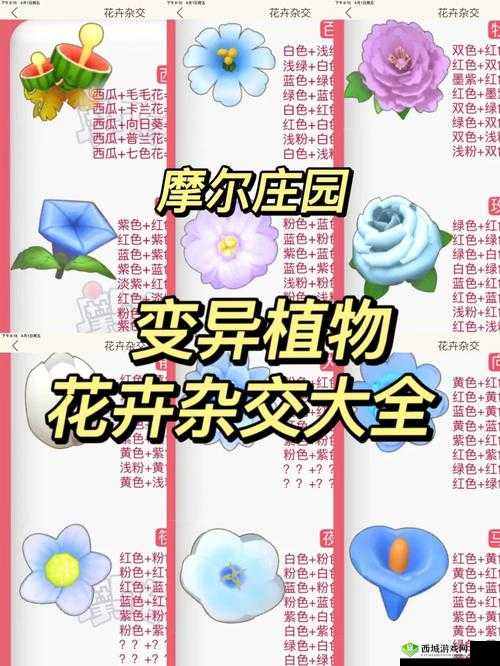 摩尔庄园实用快捷键全揭秘，助你畅游庄园更高效！