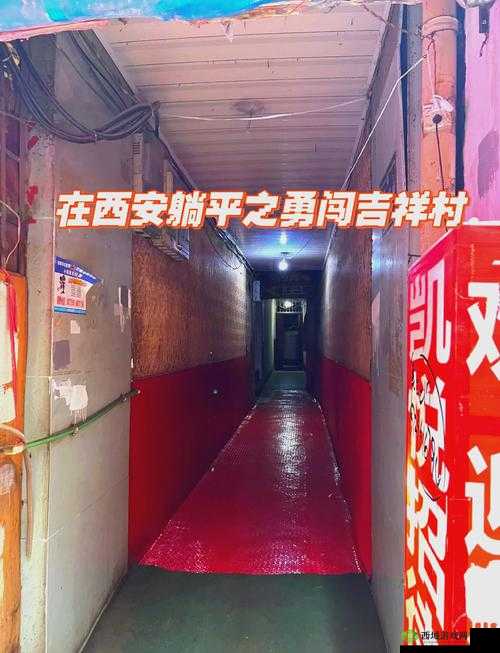 狗爷城中村国际在线观看:独特视角探秘城中村生活