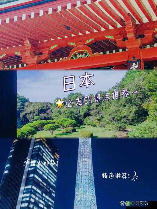玩了才真正爱上:领略其中的独特魅力与惊喜