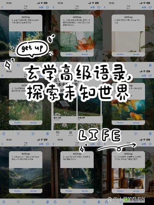 小白加密地址:探索未知的数字世界
