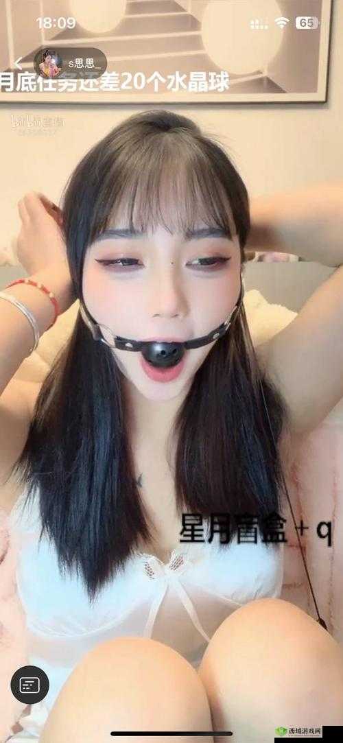 B站免费看,无广告不收费,畅享精彩内容