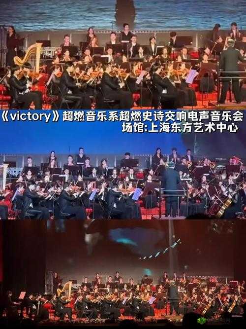 红色妖姬红黄双辣交响乐:一场独特而震撼的音乐盛宴