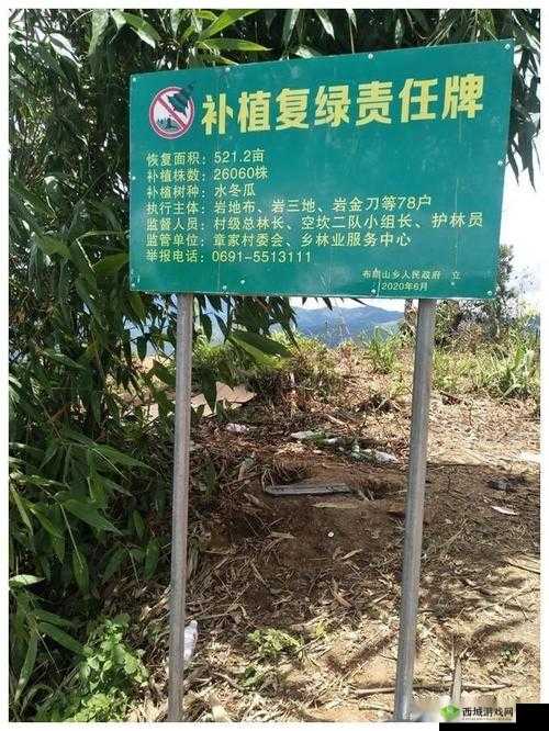 云南勐海严打种茶毁林,守护绿水青山