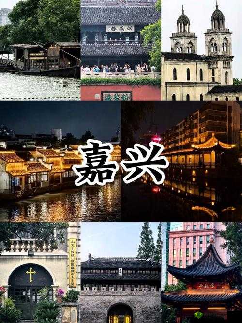 搞机 tim 免费不收钱嘉兴圈:打造属于嘉兴人的社交圈