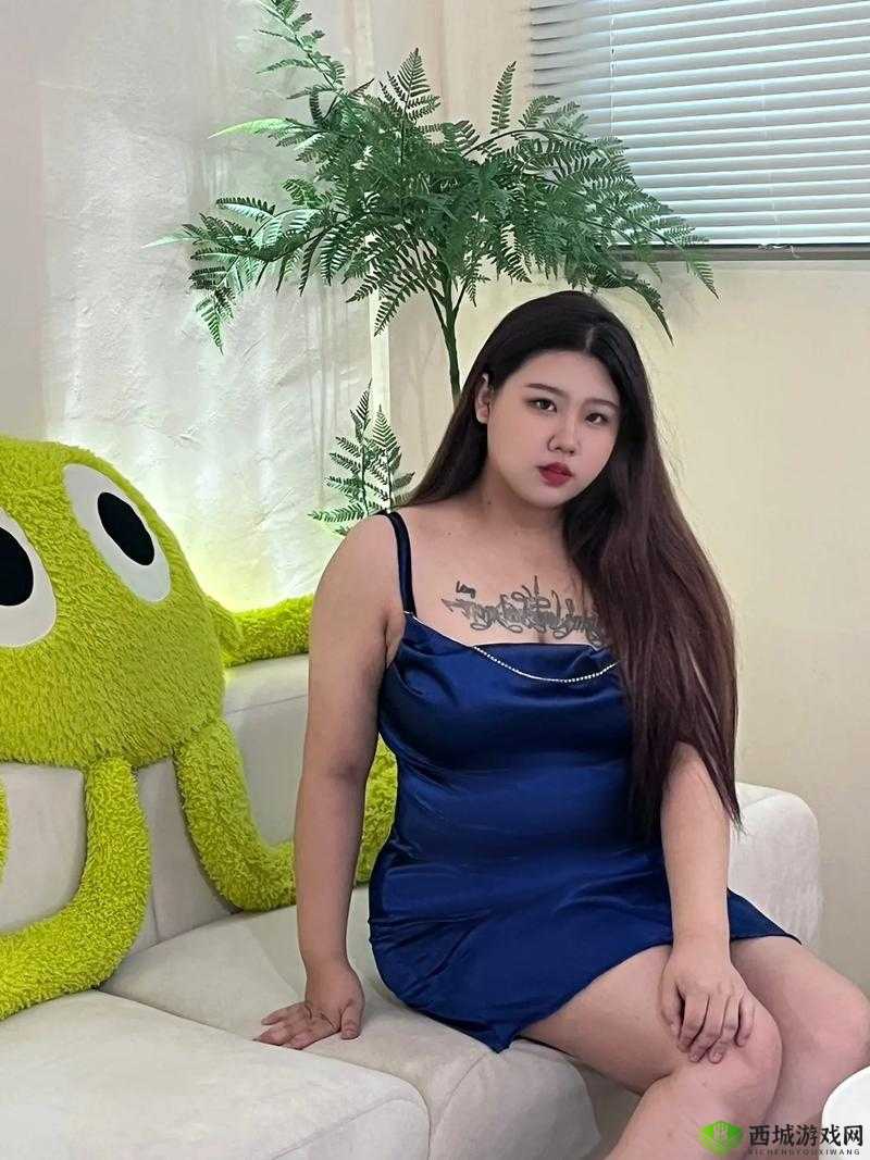 大肥女BBW：关于她们的独特魅力与生活故事