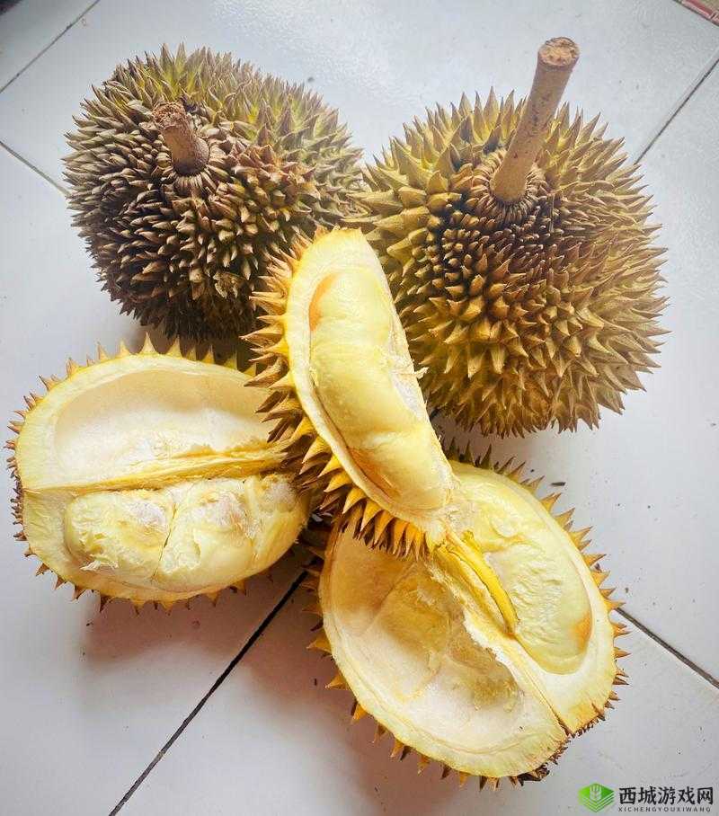 榴莲推广 APP 网站入口：畅享榴莲美味与便捷购物