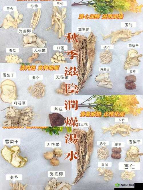 熟妇败火秘籍:滋阴润燥、清热降火的食疗方法