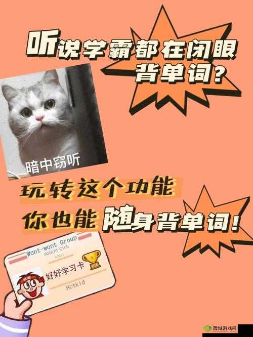 坐在学霸鸡上背单词双楠:开启高效学习之旅