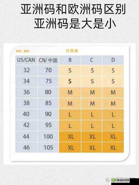 亚洲尺码欧洲尺码美国专线:三种尺码专线的详细介绍与对比分析