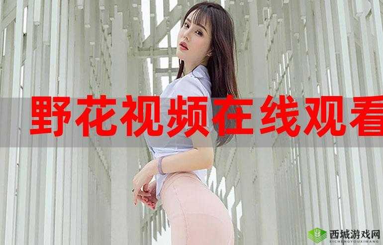 野花日本韩国免费观看 7：远离成人伦理，畅享纯净视觉盛宴