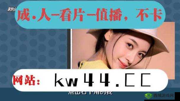 麻豆视频传媒入口:畅享精彩视频的便捷通道