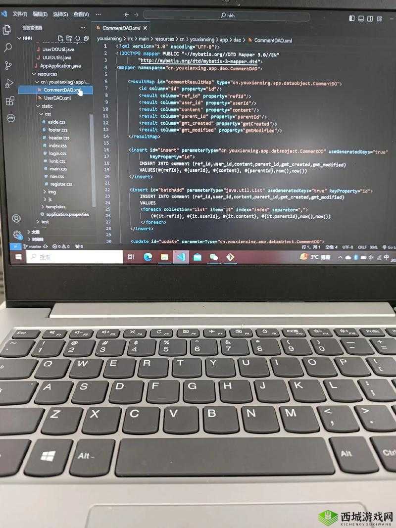 java 程序员夫妇的日常生活:从代码到家庭的点滴