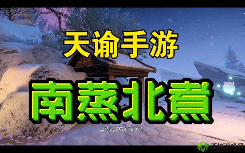 天谕南蒸北煮任务揭秘，刘兴农位置全攻略