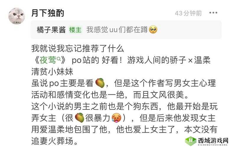 今海棠:炖肉计的背后真相与人性考量