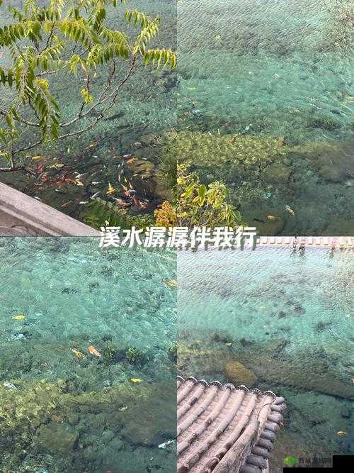 快穿:泉水潺潺中的奇幻之旅