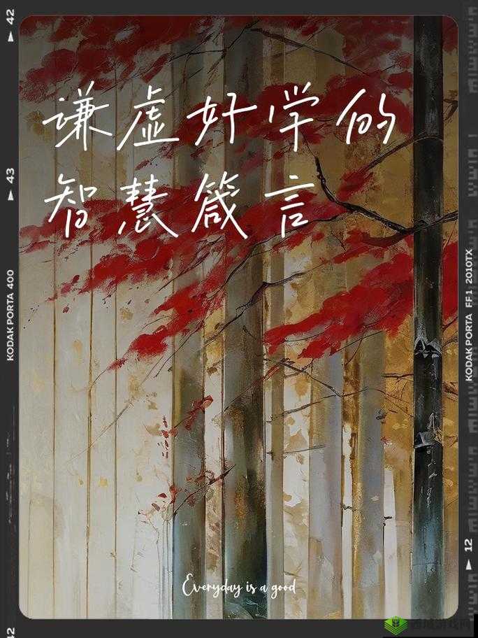 69堂永久入口：开启知识与智慧的无尽宝藏之门