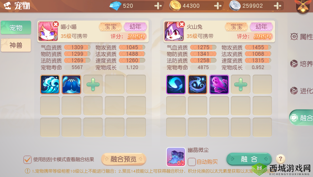 梦想新大陆宠物技能介绍,资源管理、高效利用与避免浪费