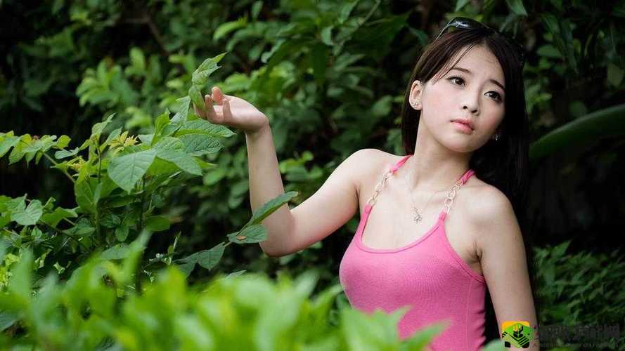 GOGOGO 免费高清在线中国:畅享无限精彩