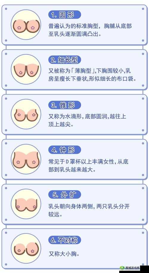 B 大与小的区别:图片解析