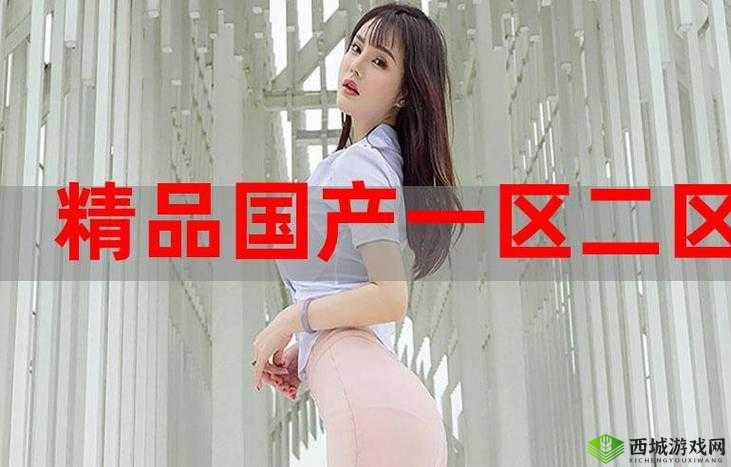 国精产品一二三区背后的差异和奥秘,你真的了解吗?