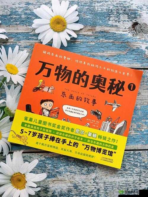 探秘未知，关键词背后的奇幻之旅