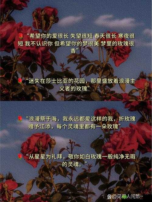 你是玫瑰 1V1:一场关于玫瑰的独特一对一情感之旅