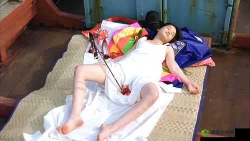 12 级黄片能够看得见的:深入探讨成人影片分级制度