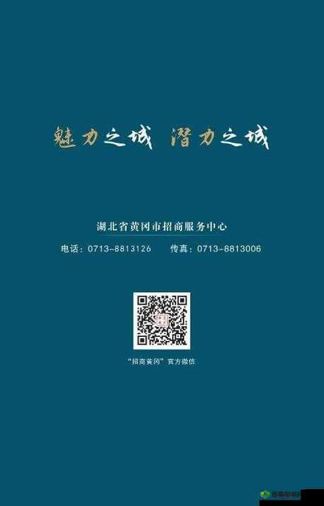 国外黄冈 B 站:探索知识与文化的别样世界