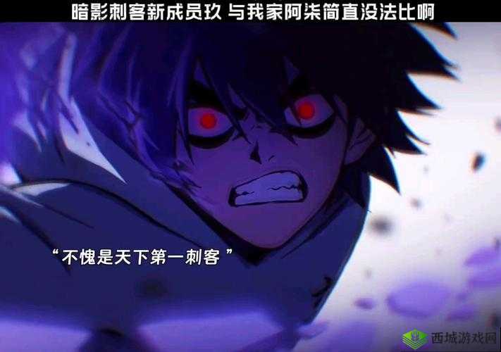 刺客天下，探寻最强职业，揭秘角色巅峰实力